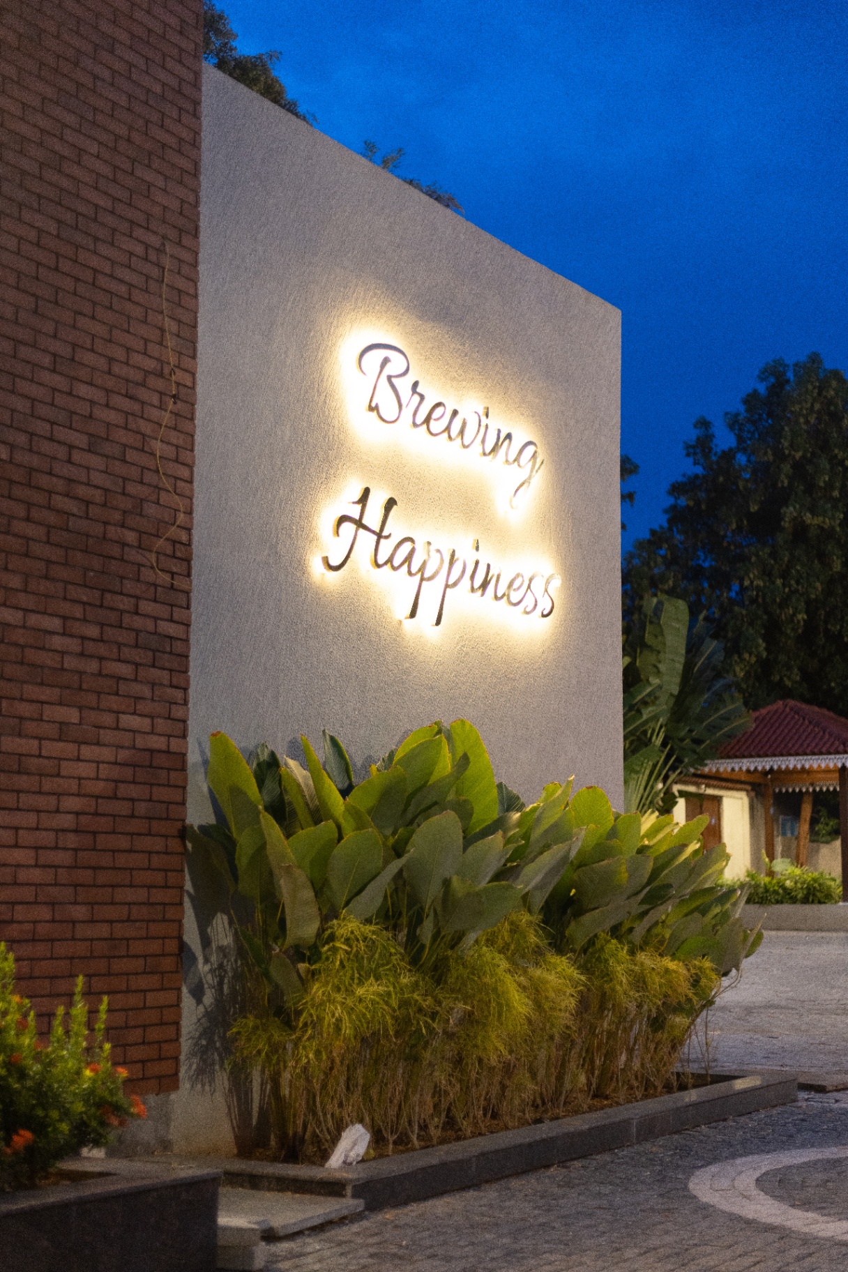 D'Scops Café Brewing Happiness wall sign with plants and evening lighting